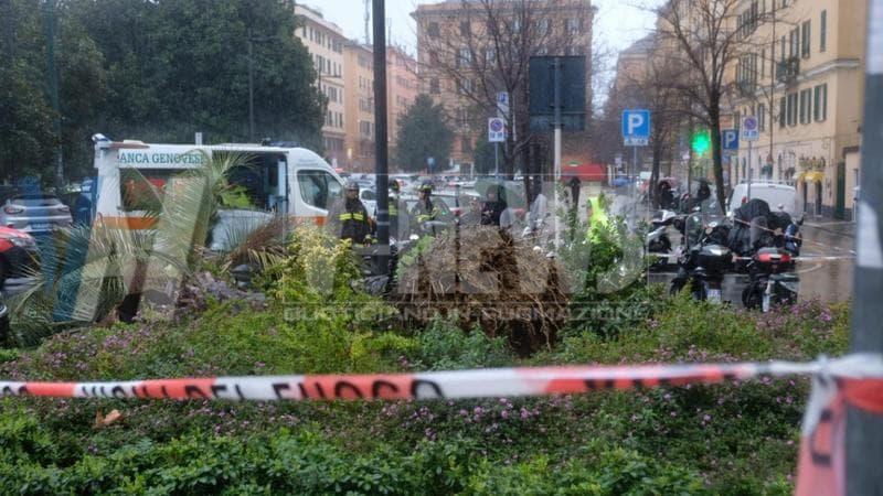 Genova. Palma cade in una piazza: travolta e uccisa una donna