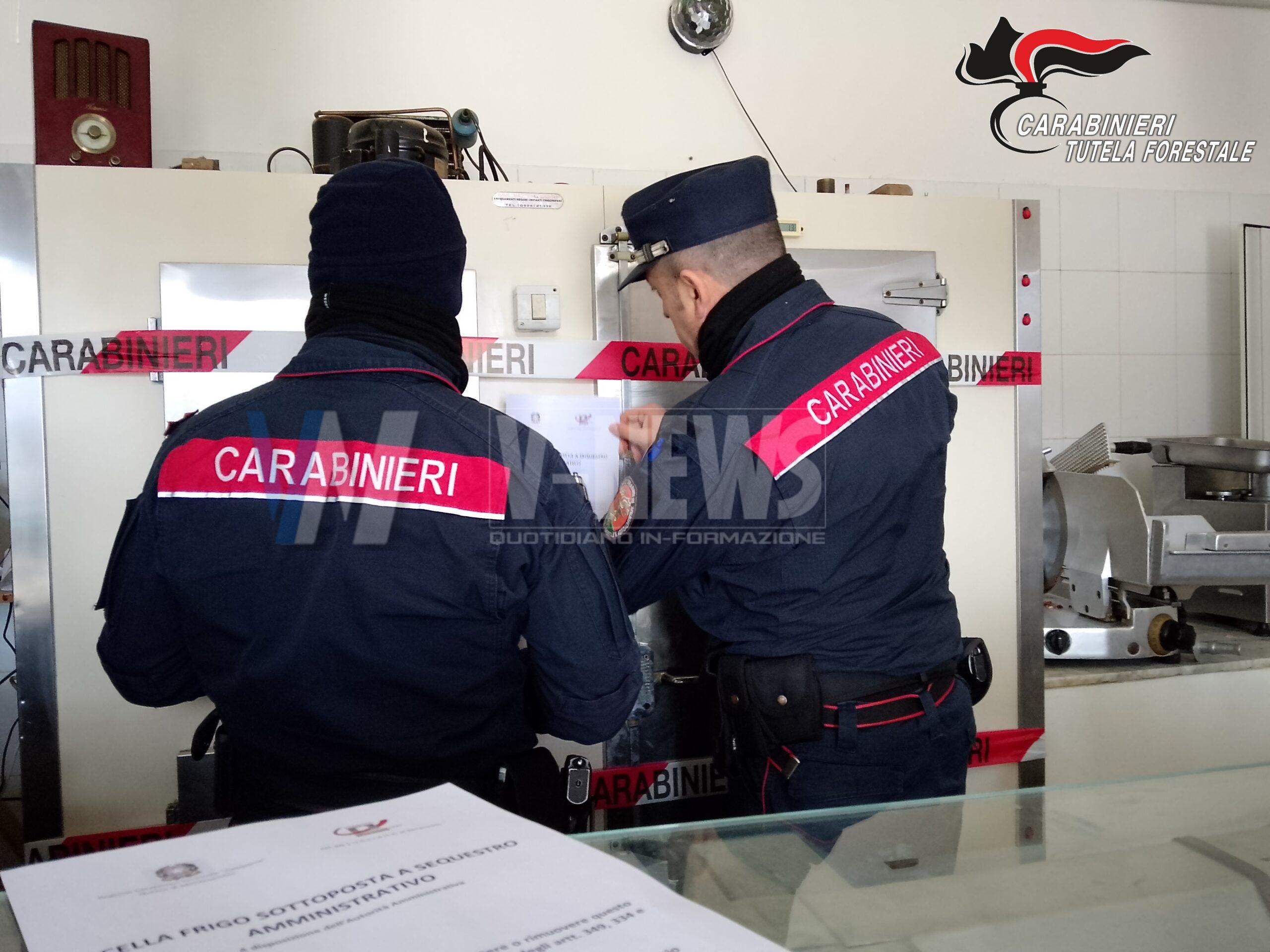 Arpaise. Carenze igienico-sanitarie: chiusa una macelleria